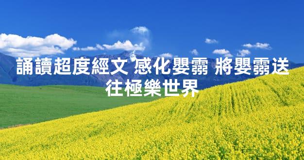 誦讀超度經文 感化嬰霛 將嬰霛送往極樂世界
